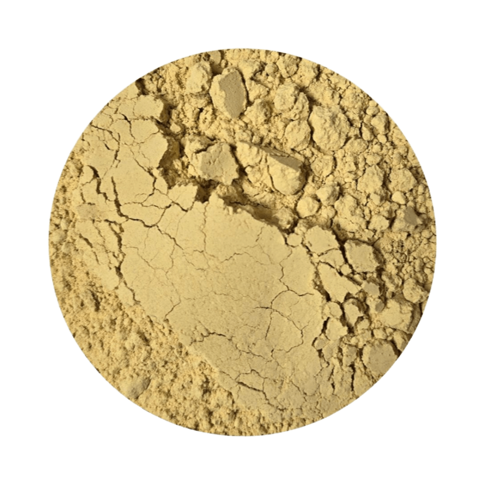 Jengibre_en_polvo[1]